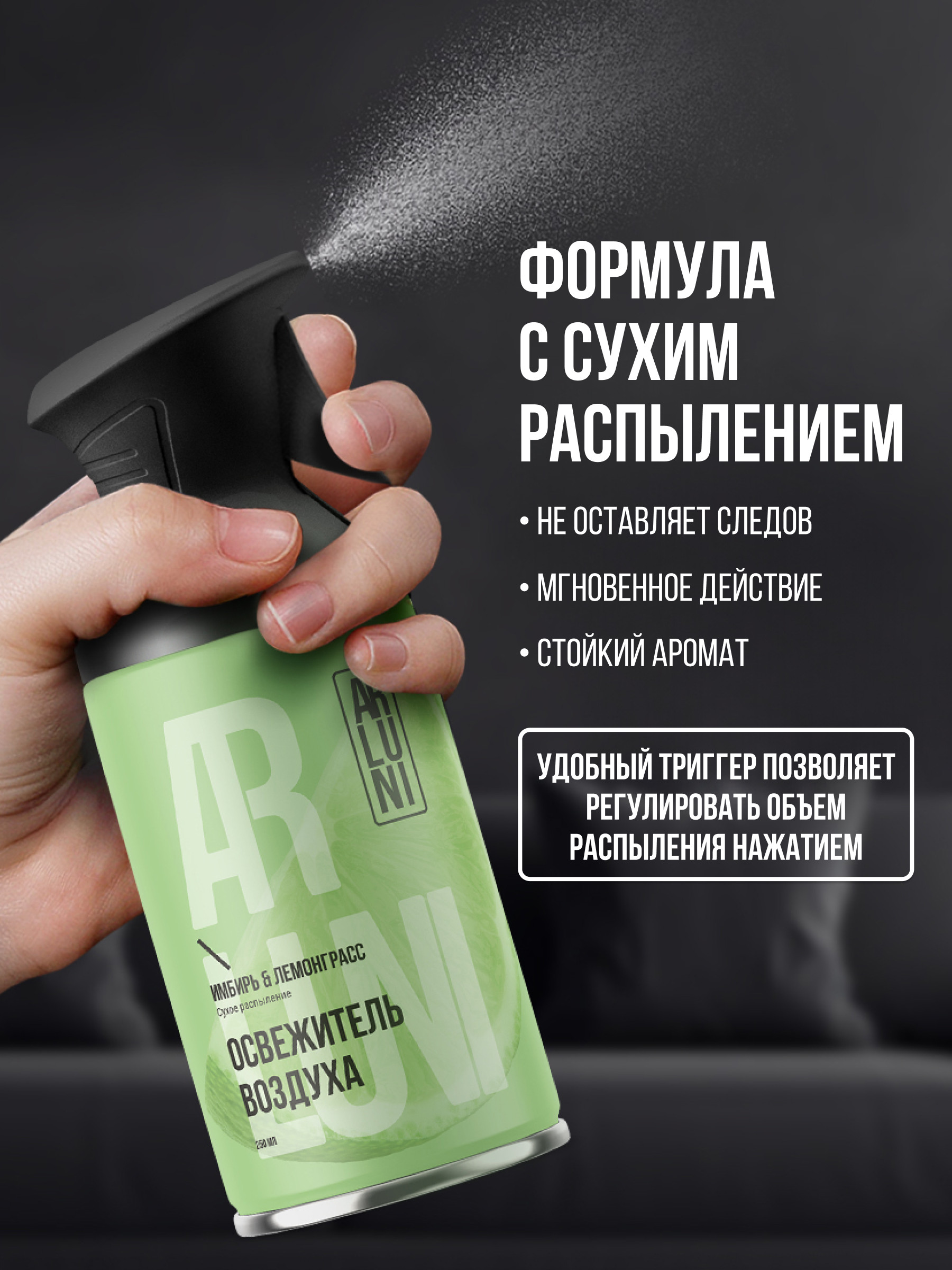 ARLUNI освежитель воздуха Ароматизация, аромат имбирь, лемонграсс 250 мл