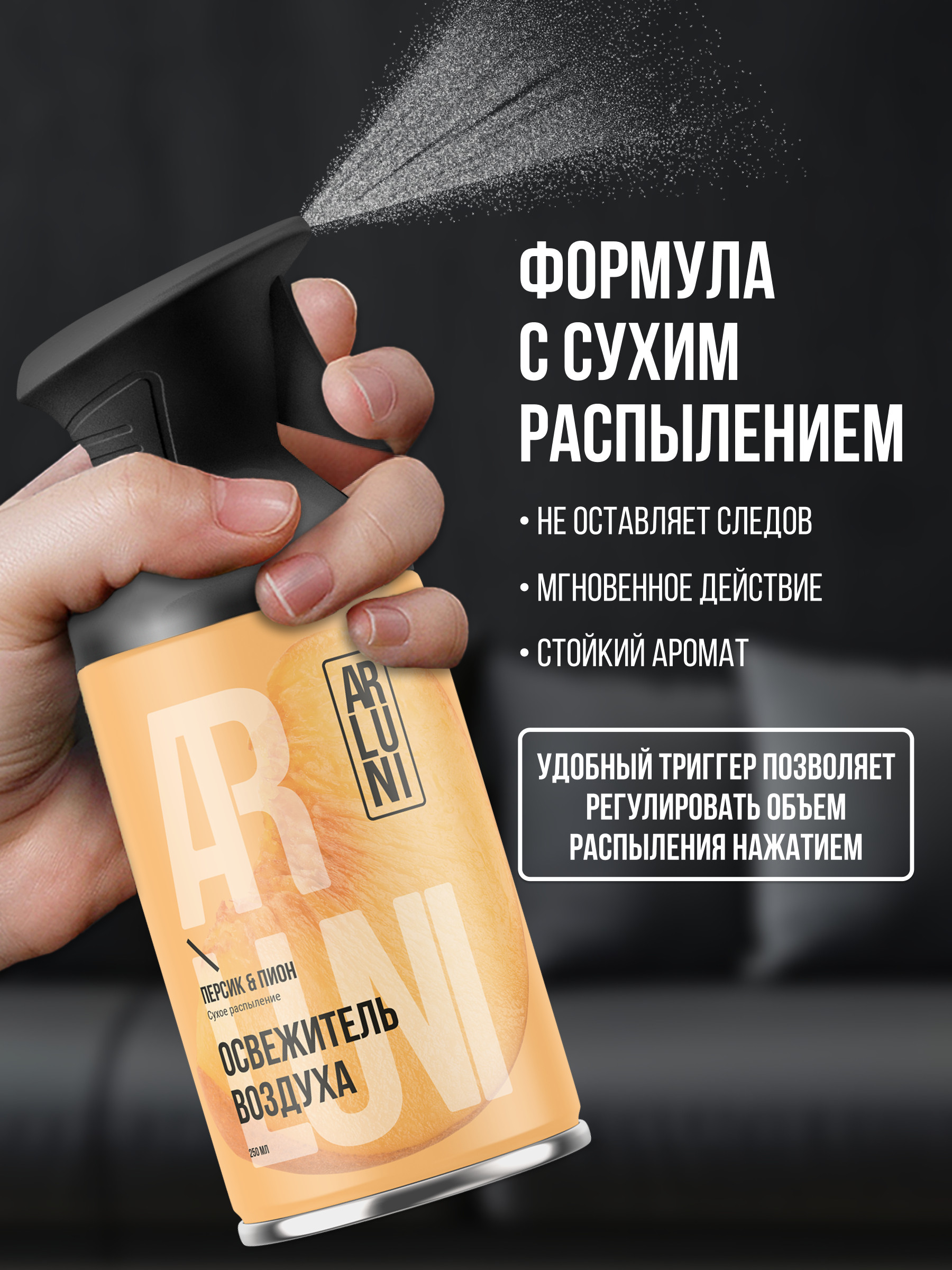ARLUNI освежитель воздуха Ароматизация, аромат персик, пион 250 мл